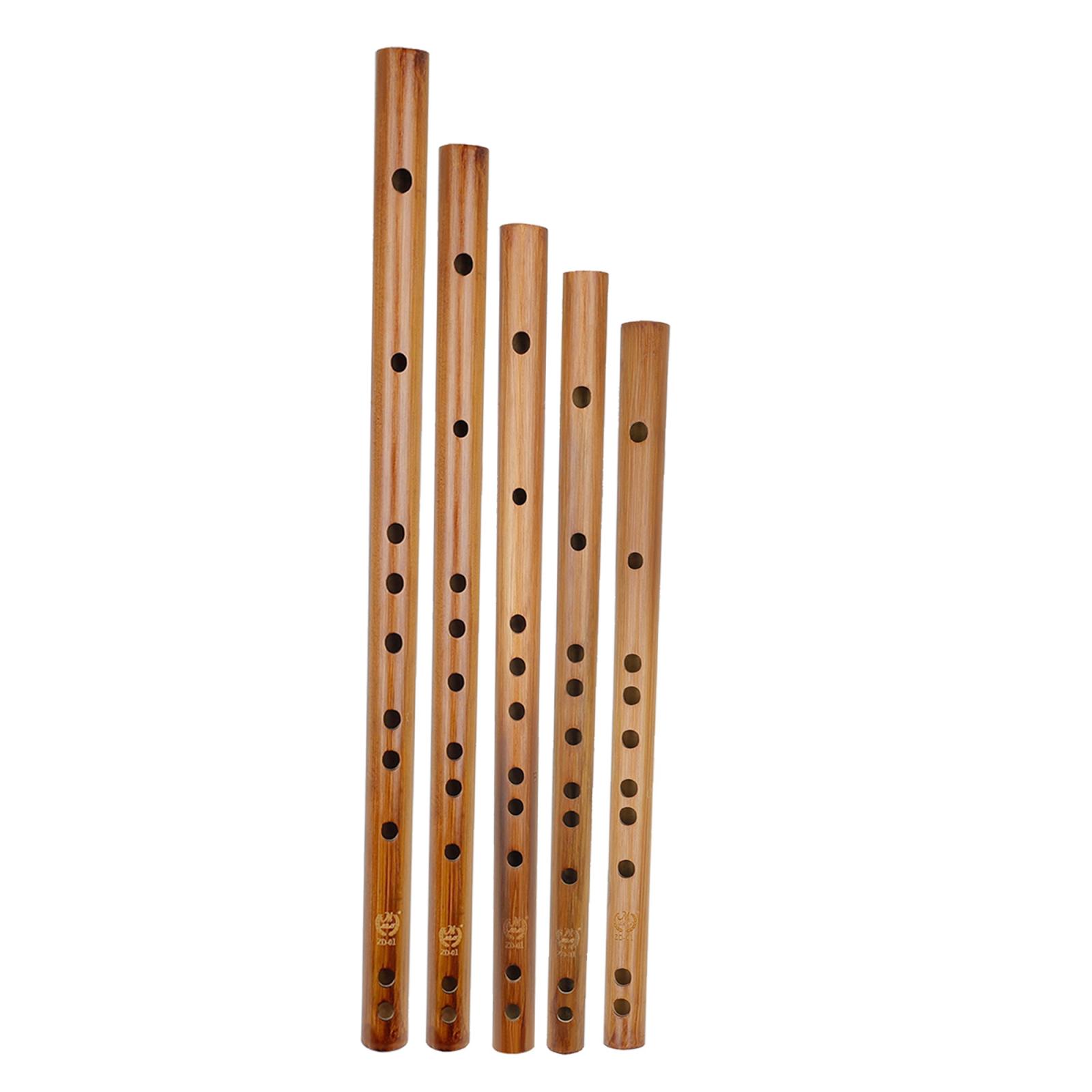 Musical Instrument Theremin - Regalo di compleanno unico, flauto di