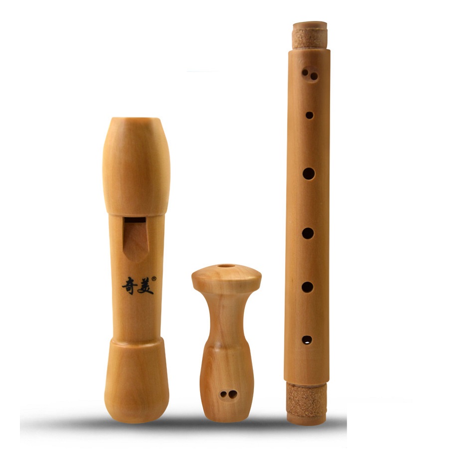 Qimei 8 fori registratore cont - Musical Instrument Theremin recensione e prezzo