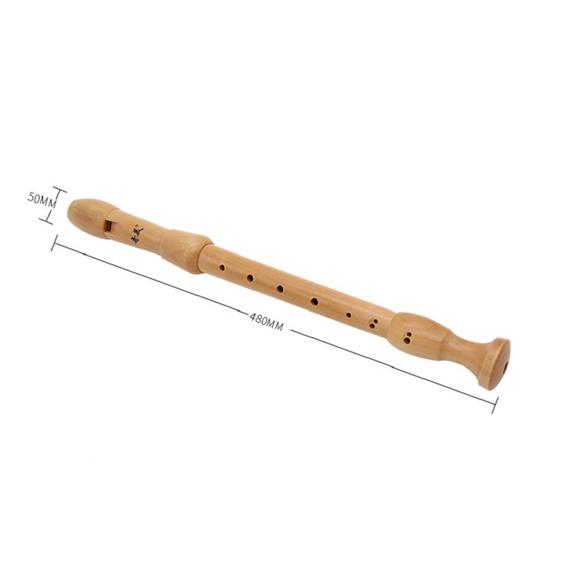 Qimei 8 fori registratore cont - Musical Instrument Theremin recensione e prezzo
