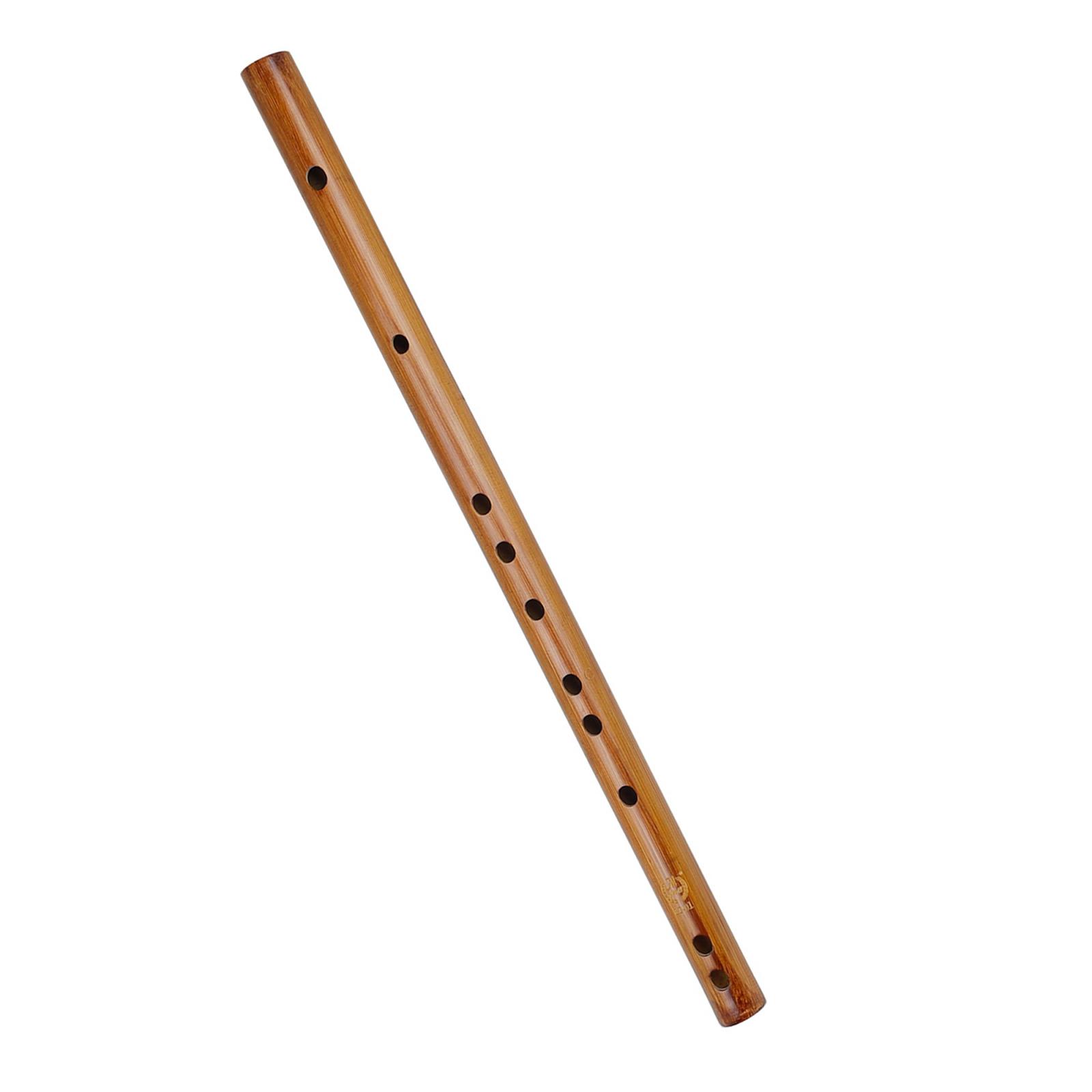 Regalo di compleanno unico, fl - Musical Instrument Theremin recensione e prezzo