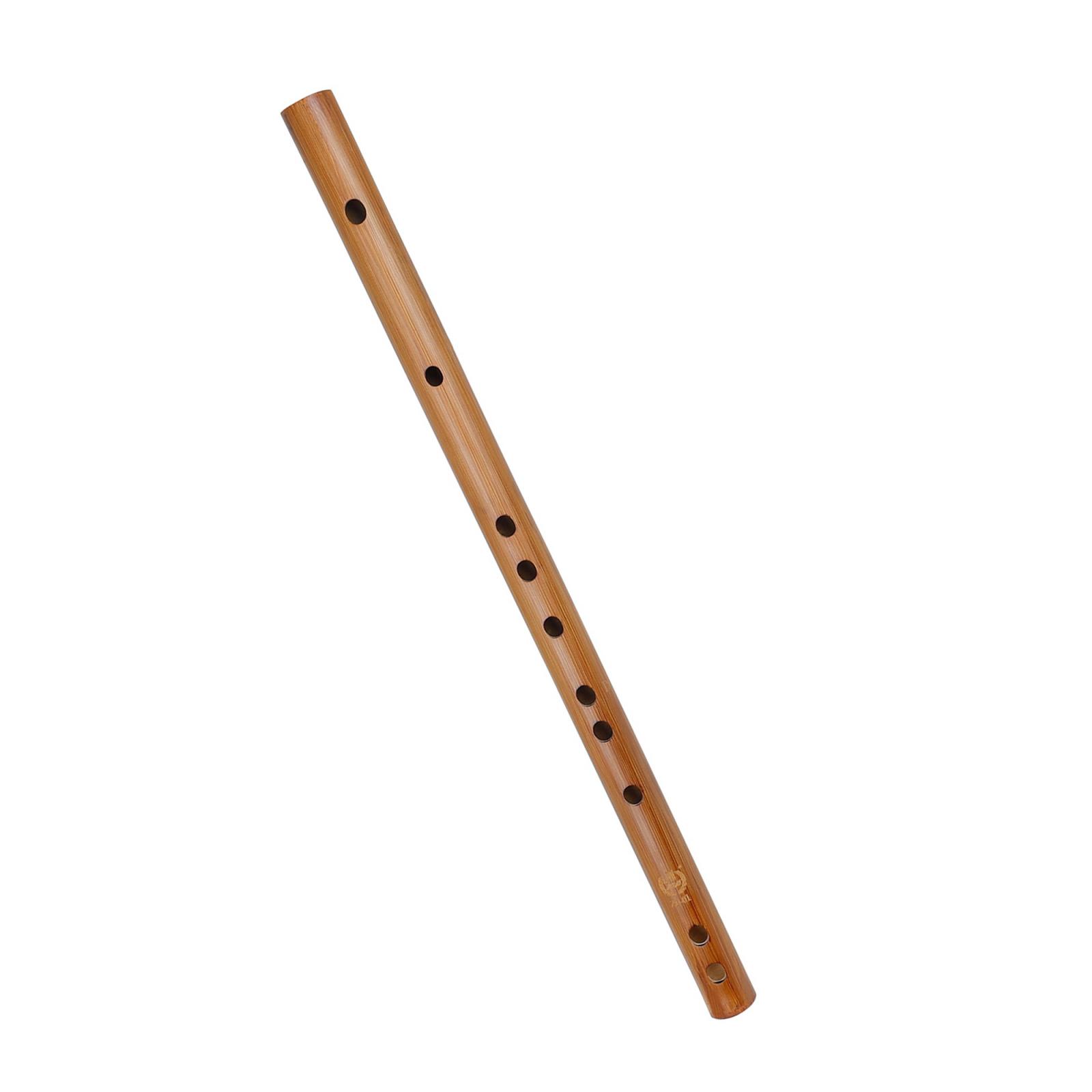 Regalo di compleanno unico, fl - Musical Instrument Theremin recensione e prezzo