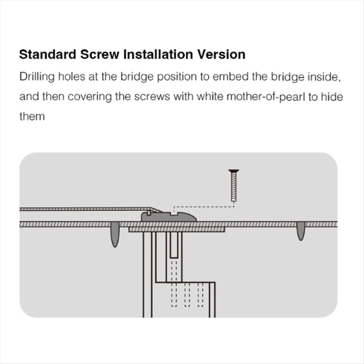 Nuovo Arrivo: Strumento per Ri - Musical Instrument Repairs recensione e prezzo